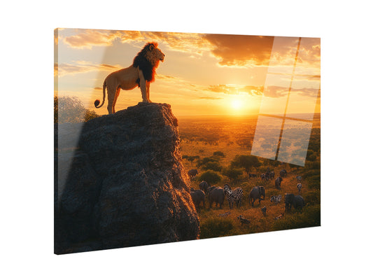 Lion King - Stampa su acrilico